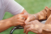 Senior caregiver and eldercare programs